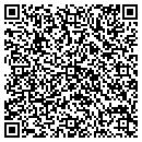 QR code with Cj's Lawn Care contacts