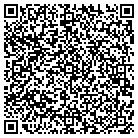 QR code with Blue Haven Pools & Spas contacts