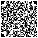 QR code with Pristine Pools contacts