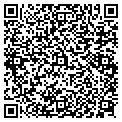 QR code with Q Pools contacts