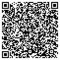 QR code with Indian Movies contacts