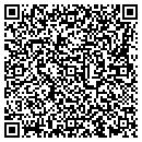 QR code with Chapin Lr Pools LLC contacts