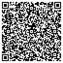 QR code with Prologic Inc contacts