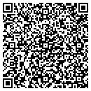 QR code with Cy3 Group, L L C contacts