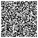 QR code with Pyrotechnic Multimedia contacts