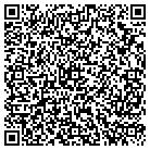 QR code with Blue Pond Consulting Inc contacts