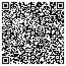 QR code with Precision Pool contacts