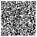 QR code with Viscount contacts