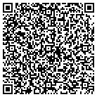 QR code with Carrier Connections Inc contacts