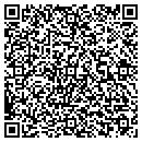 QR code with Crystal Vision Pools contacts