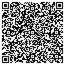 QR code with Precision Pool contacts