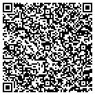 QR code with Blue Haven Pools & Spas contacts