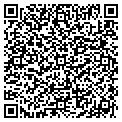 QR code with Motors Albion contacts