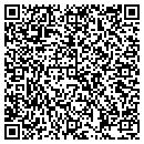 QR code with Puppycat contacts