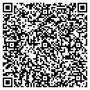 QR code with Pristine Pools contacts