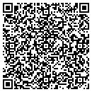 QR code with Pt Pools And Ponds contacts