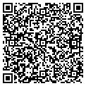 QR code with T Cg contacts