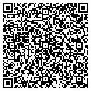 QR code with Punch Studio Lcc contacts