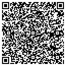 QR code with Premier Pools & Spas contacts