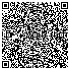 QR code with Pristine Palm Pools Inc contacts