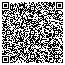 QR code with Cyber Dimensions LLC contacts
