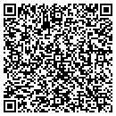 QR code with Cybernetic Networks contacts