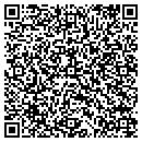QR code with Purity Pools contacts