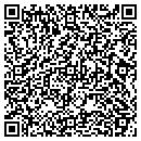 QR code with Capture It All Inc contacts
