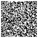 QR code with County Line Psychics contacts