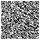 QR code with Blue Haven Pools & Spas contacts