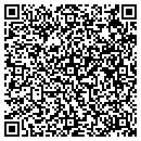 QR code with Public Works Corp contacts