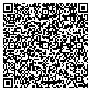 QR code with Puzzlecode Inc contacts