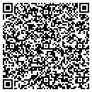 QR code with Chapman Pools Inc contacts