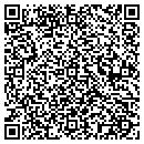 QR code with Blu Fin Construction contacts