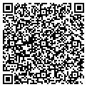 QR code with Dolphin Pools contacts