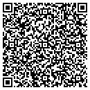 QR code with Systems Dev Group Inc contacts