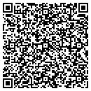 QR code with Cybulski Sales contacts