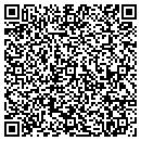 QR code with Carlson Software Inc contacts