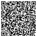 QR code with Palmview Pools contacts