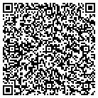 QR code with Blue Ruby Financial contacts