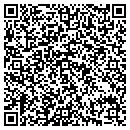 QR code with Pristine Pools contacts