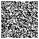 QR code with Pristine Pools contacts