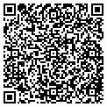QR code with Jeep contacts