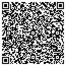QR code with Professional Machine contacts
