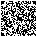QR code with Chameleon Creations contacts