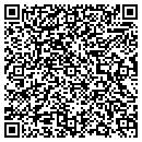 QR code with Cybermine Com contacts