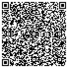 QR code with Psi Tronics Visions Inc contacts