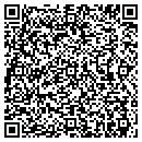 QR code with Curious Networks Inc contacts