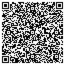 QR code with Project Slice contacts