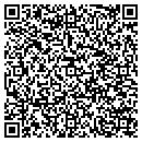 QR code with P M Ventures contacts